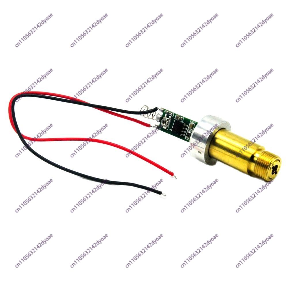 Industrielles Messing-Laserdio – Industrial Green Laser Pointer Bewertung und Preis