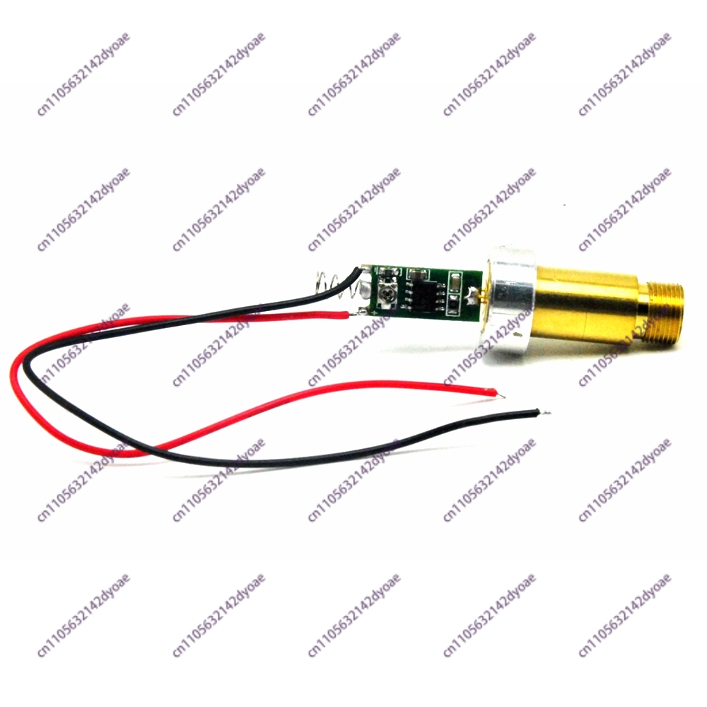 Industrielles Messing-Laserdio – Industrial Green Laser Pointer Bewertung und Preis